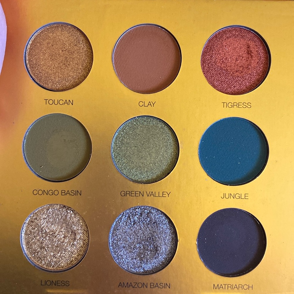 Coloured Raine Safari Raine eyeshadow palette